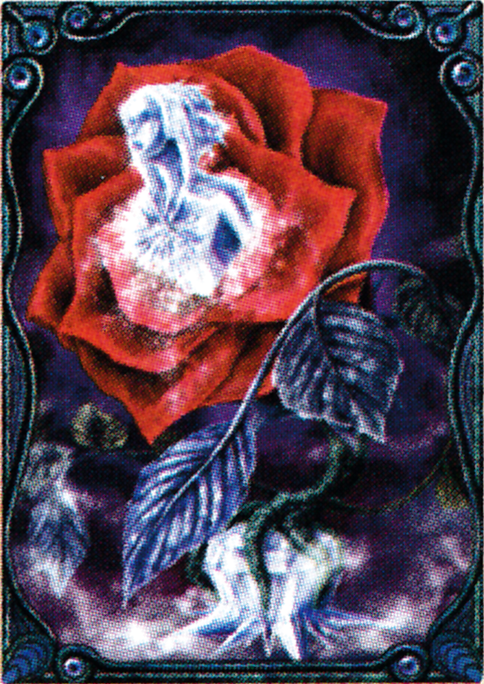 lk1crystalrosescan.png