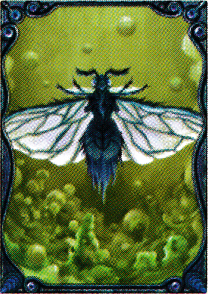 lk1larvalflyscan.png
