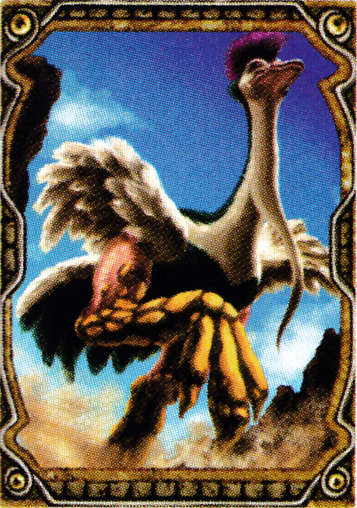 lk1runningbirdscan.png