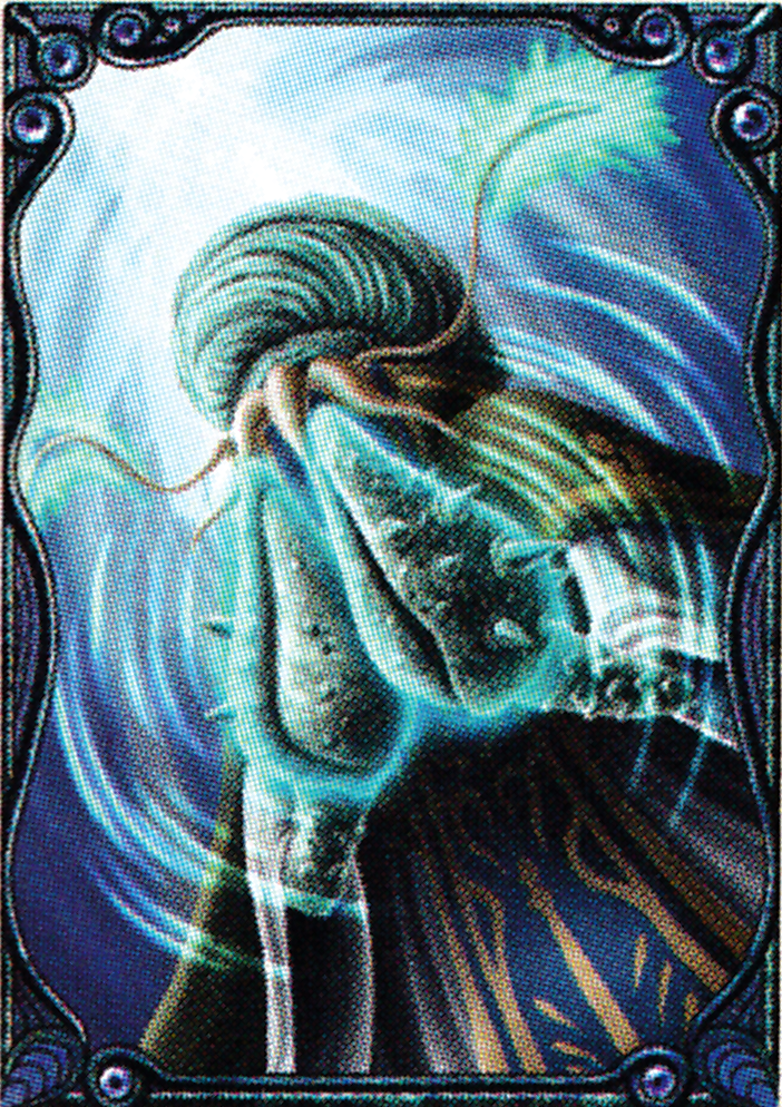 lk1seamonkscan.png