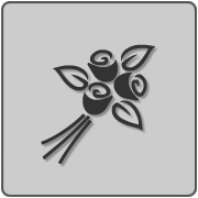 placeholder item.png