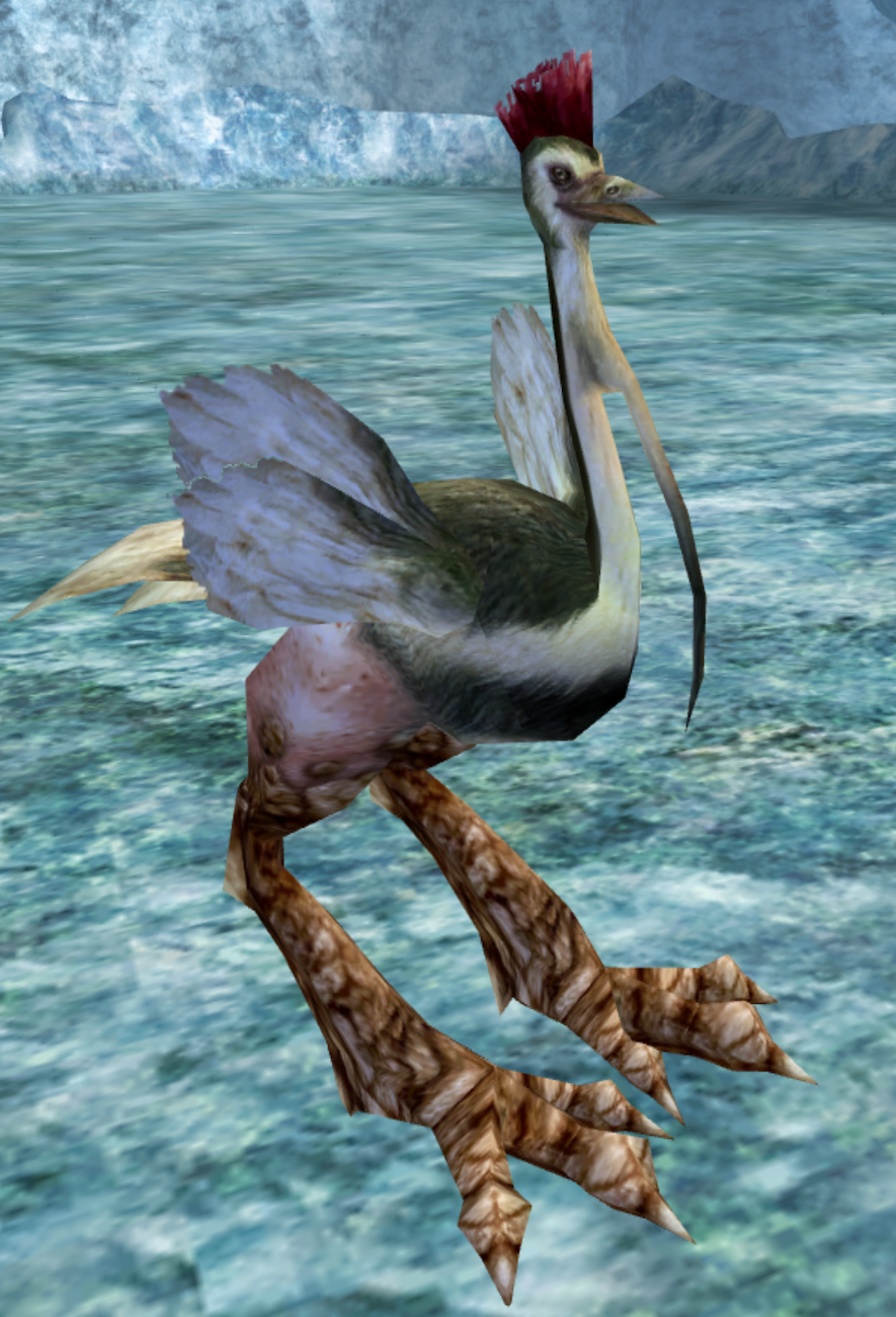 runningbirdfront.png